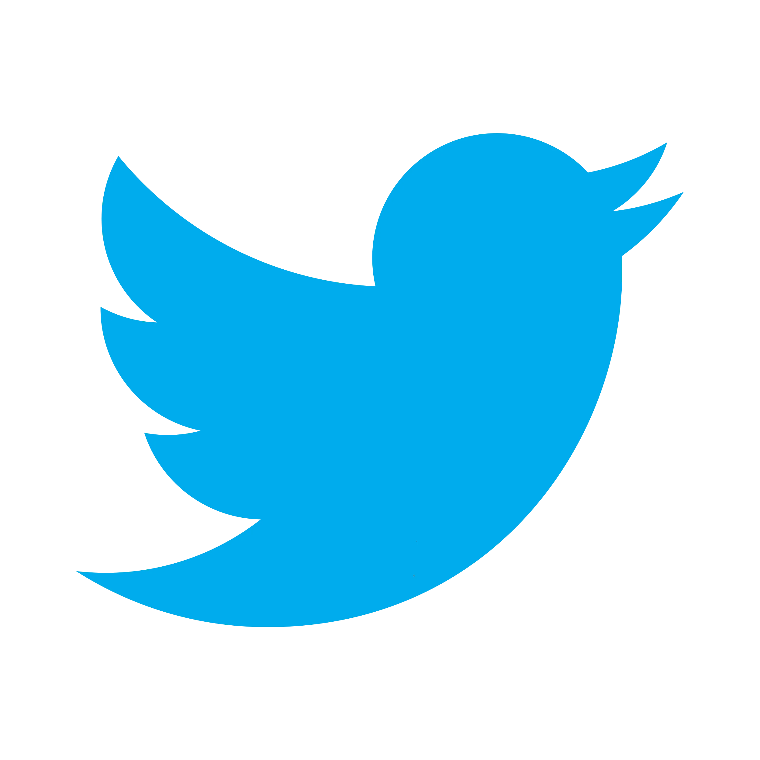 twitter logo