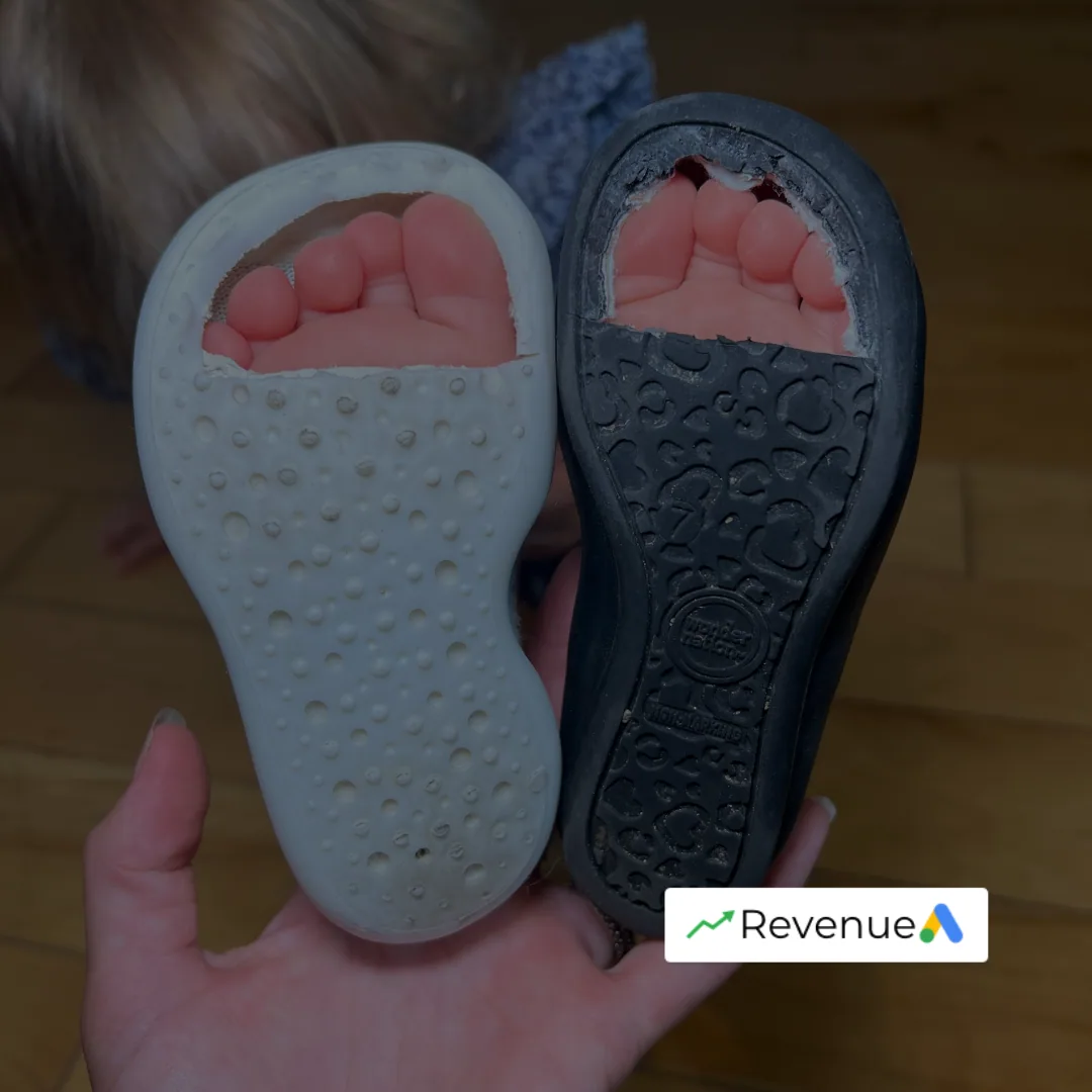 Product photo from the anonymised case study, with a Google Ads revenue badge